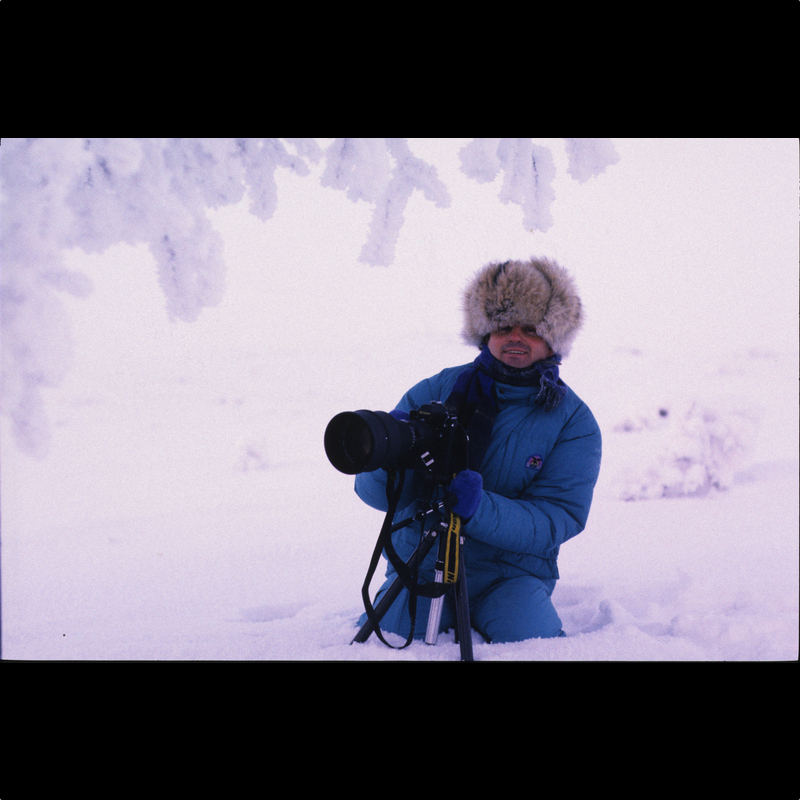  Jagd auf Erlkönige am Polarkreis 