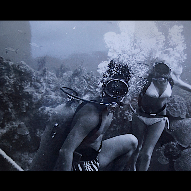  Bahamas. In 30m Tiefe für eine Tauchreportage 