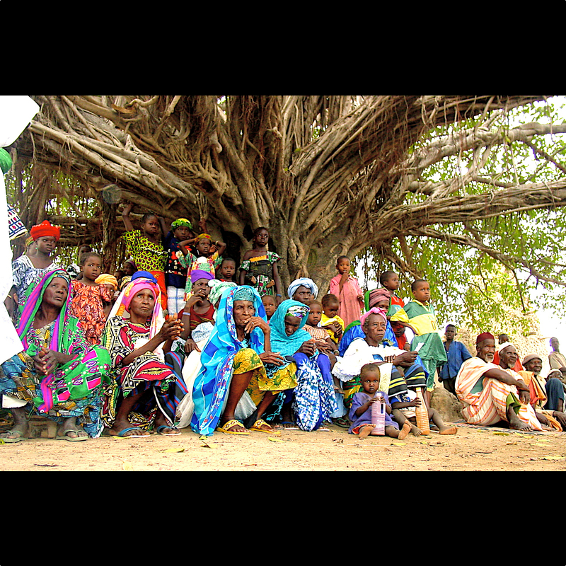  Mali. Treffpunkt am Baobab 