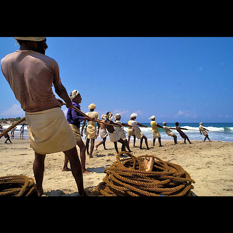  Südindien. Teamwork 