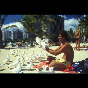  Hawaii. Ein Reporter macht Pause 