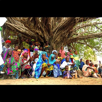  Mali. Treffpunkt am Baobab 